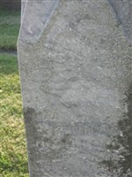 Anna Jedlicka Novakova