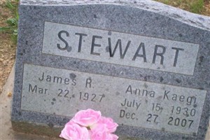 Anna Kaegi Stewart Anna Kaegi Stewart