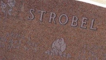 Anna L Strobel Anna L Strobel