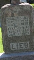 Anna Lieb