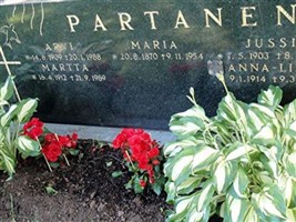 Anna-Liisa Kekki Partanen Anna-Liisa Kekki Partanen