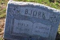 Anna Linnea Carlsson Bjork Anna Linnea Carlsson Bjork