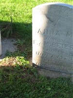 Anna M Beier