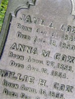 Anna M Cox