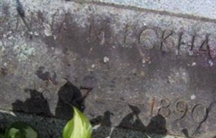 Anna M. Eckhardt
