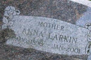 Anna M. Larkin