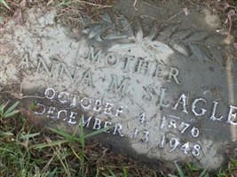 Anna M Slagle