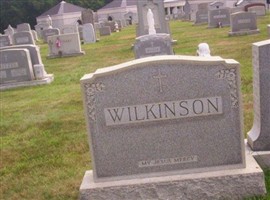 Anna M Wilkinson Anna M Wilkinson