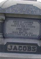 Anna Mary Fishel Jacobs