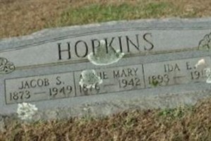 Anna Mary Hopkins