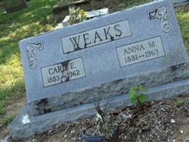 Anna Mathews Weaks Anna Mathews Weaks