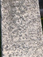 Anna McCoy