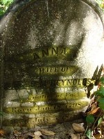 Anna McReynolds