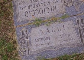 Anna Nacci