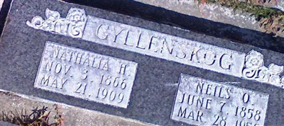 Anna Nathalia Henstrom Gyllenskog Anna Nathalia Henstrom Gyllenskog