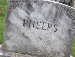 Anna Pearl Phelps