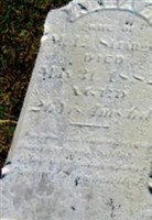 Anna R. Stringer Anna R. Stringer