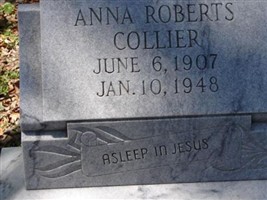 Anna Robert Collier