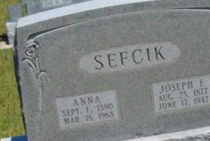 Anna Sefcik Anna Sefcik