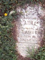 Anna Shell Anna Shell