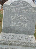 Anna Stewart