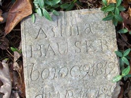 Anna V Hauser