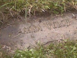 Anna Welch