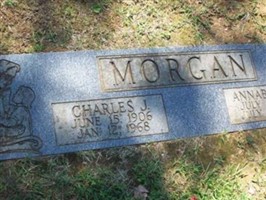 Annabelle B Morgan