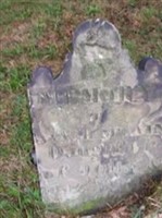 Annah McLain Negley Annah McLain Negley