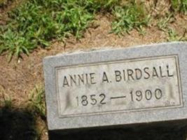 Anne A. Birdsall