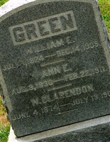 Anne E Green