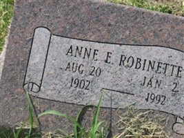 Anne E Robinette