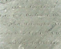 Anne Elizabeth Ma?