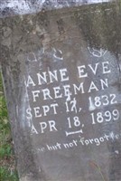 Anne Eve Freeman