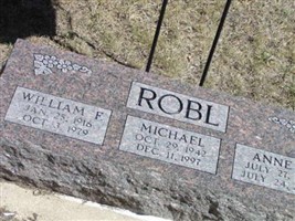 Anne G Robl