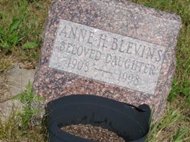 Anne H Blevins