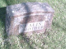 Anne H Nealis