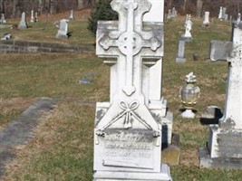 Anne L Fitzhugh