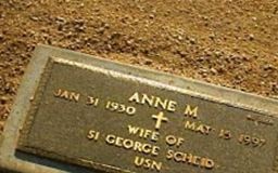 Anne M Scheid