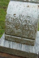 Anne N. Bryan Anne N. Bryan