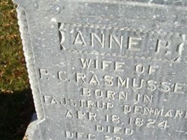 Anne P Johnsen Rasmussen