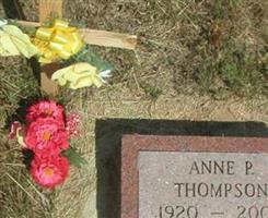 Anne P Thompson