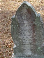 Annetta Jane White Taylor