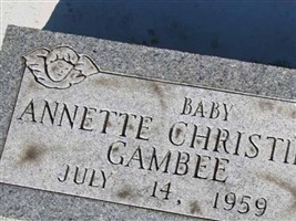 Annette Christine Gambee Annette Christine Gambee