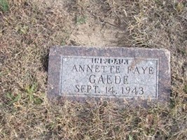 Annette Faye Gaede Annette Faye Gaede