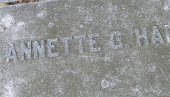 Annette Gottfried Hare Annette Gottfried Hare