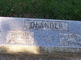 Annette Greenburg Olander Annette Greenburg Olander