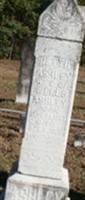Annette Ivey Ashley Annette Ivey Ashley