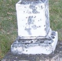 Annette M Mills