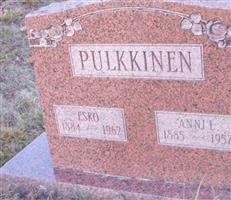 Anni L. Pulkkinen